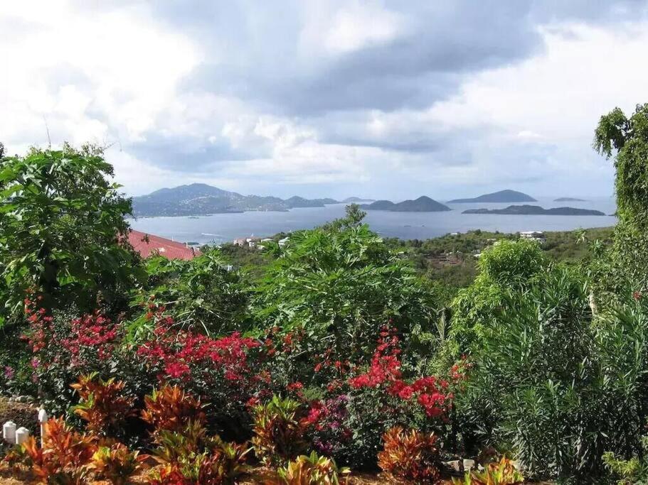 Cielo Vista Villa 3 Bdrm Sleeps 6 Heavenly View Cruz Bay Zewnętrze zdjęcie
